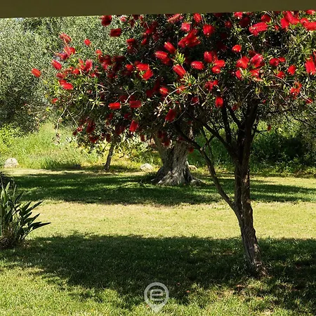Estay - Luxury Funtana Salsa - Dreaming Panoramic Views Villa Pula